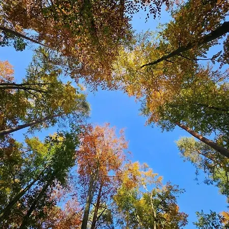 Geschmackvoll Eingerichtetes